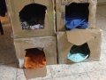 cat outer simple shelter (7)