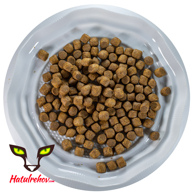 רפלקס אנשובי מזון לחתולים