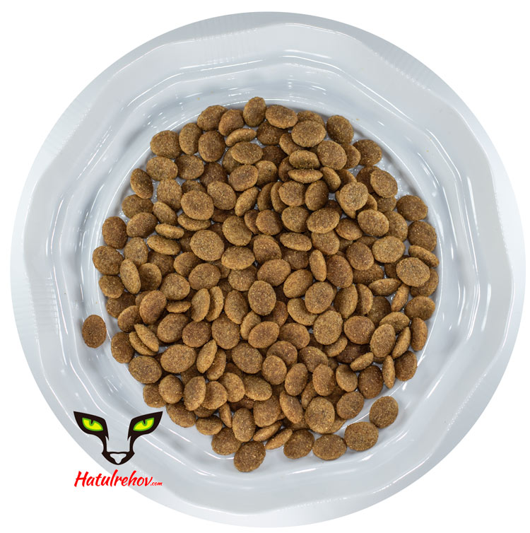 אראטון מזון לחתולים