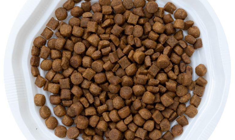 בונאסיבו מזון לחתולים