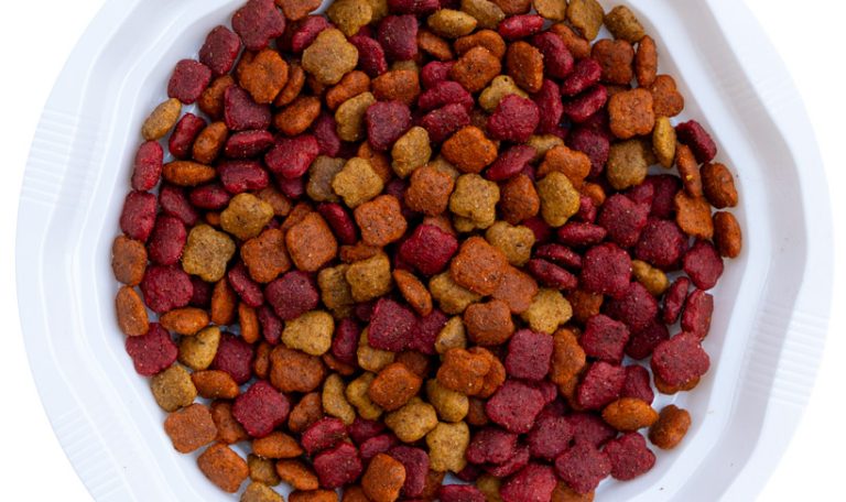 מזון לחתולים מיטו מיקס