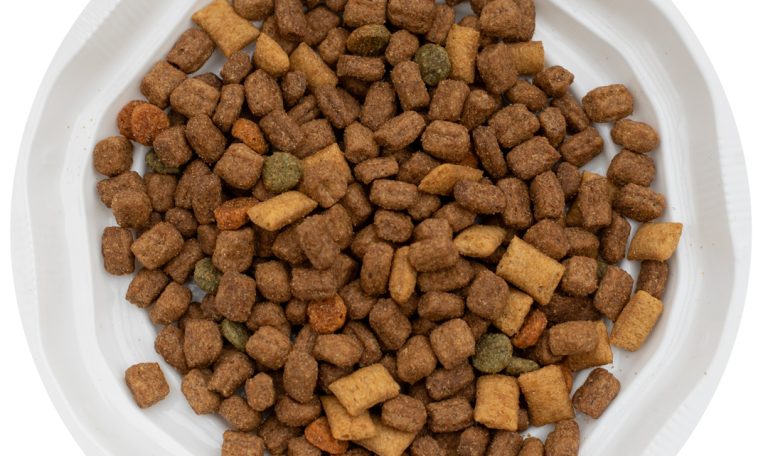 מזון לחתולים