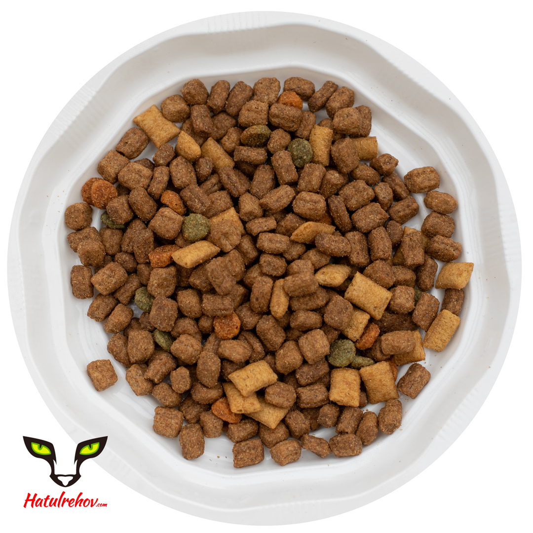 מזון לחתולים